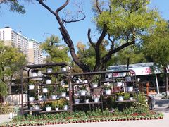 -文瀛公园