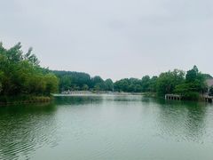 -洪泽湖古堰景区