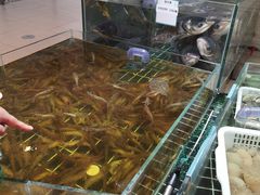 -阿毛饭店·宁波老字号(儿童公园旗舰店)