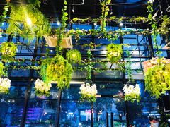 -聚缘·湘味音乐餐厅party(罗湖店)