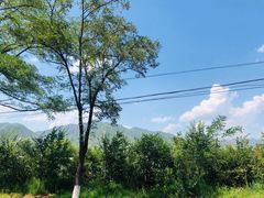 -晓院餐厅