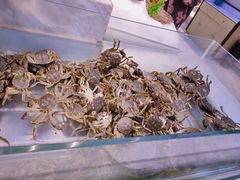 -川骄海鲜自助(河东店)
