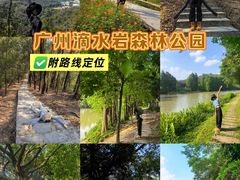 -滴水岩森林公园