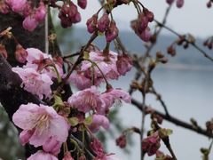 -福建鲤鱼洲酒店