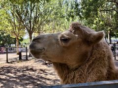 -长白岛森林公园