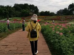 -保利石象湖景区