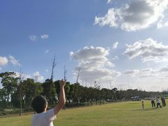 -春花秋色城市公园