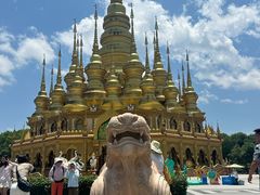 -西双版纳勐泐文化旅游区