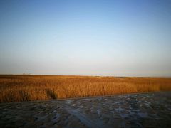 -南汇嘴观海公园