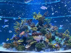 -北海海底世界