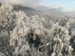 -瓦屋山景区