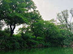 -西溪国家湿地公园