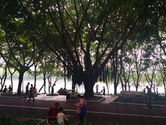 -南宁南湖公园