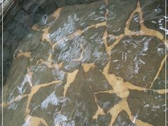 -龙达温泉生态城