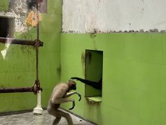 -石家庄市动物园