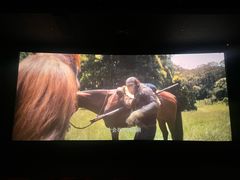 -万达影城(浦西万达广场激光IMAX店)