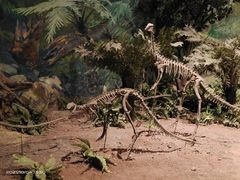 -自贡恐龙博物馆