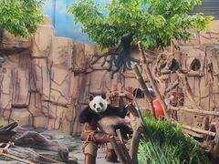 -泉州海丝野生动物世界