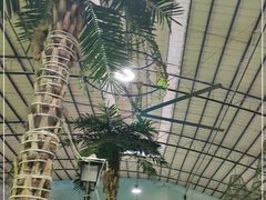 -石岐乳鸽村(南海第三分店)