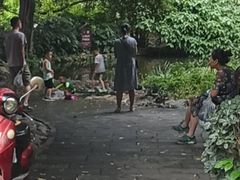 -成都市活水公园