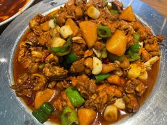 -特克斯八卦城