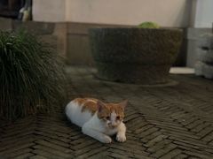 -嘻哈壹笑堂相声茶馆(大儒巷店)