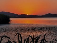 -长广溪湿地公园