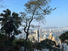 -太平山顶