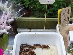 -循礼门鲜花花市(武汉循礼门店)