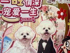 -上海神旺大酒店