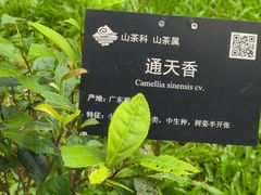 -广州市白云山风景名胜区