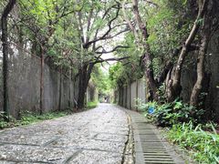 -马峦山郊野公园
