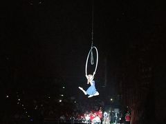 -珠海横琴长隆《卡卡虎奇遇记》