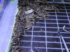 -聚盛源蒸汽海鲜火锅烤肉自助(巨川金海岸购物广场店)