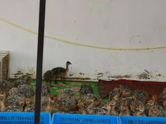 -长春农博园