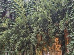 -溪畔•新徽菜(碧湖云溪店)