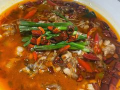 馋嘴牛蛙-十二饭点·川菜(北站圆融店)