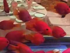 -东林海岸大酒店-餐饮部(黄海路店)