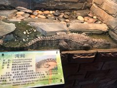 -上海大自然野生昆虫馆(东方明珠·爬宠昆虫探索中心)