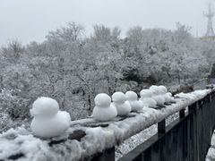 -紫金山山顶公园