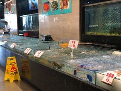 清蒸多宝鱼-雅盛品931海鲜酒家