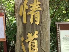 -海南霸王岭国家森林公园