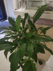 -香秀空间科技抗衰·美容中心