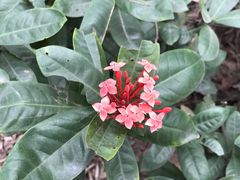 -南国桃园旅游度假区