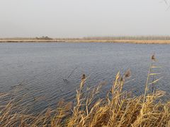 -野鸭湖国家湿地公园