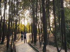 -火炉山森林公园