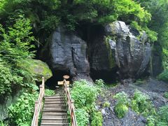 -望天鹅景区