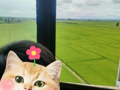 -陆地游轮吉林神农温泉