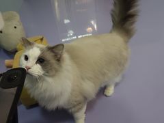 -1013 PET SHOP 宠物商店(近铁城市广场店)