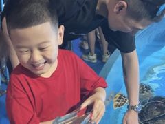 -泉城欧乐堡海洋极地世界